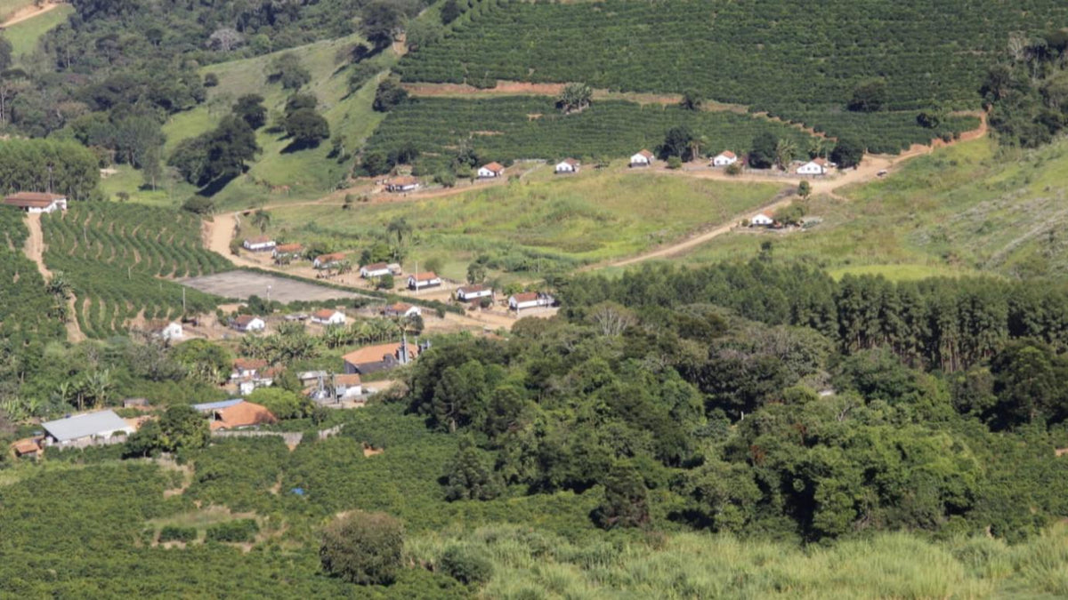 Pinhal