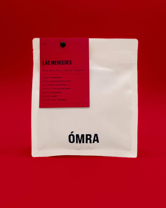 Introducing Las Mercedes: A Honey-Processed Pacamara from El Salvador