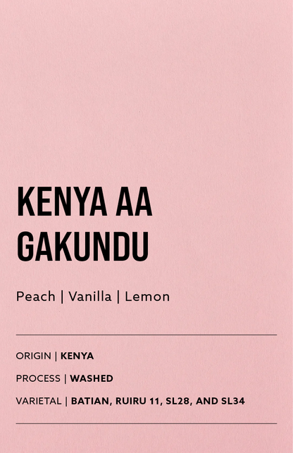 Kenya AA Gakundu