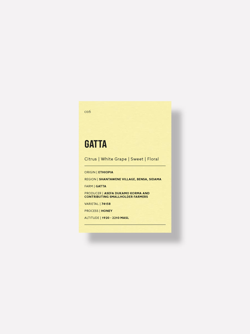 Gatta