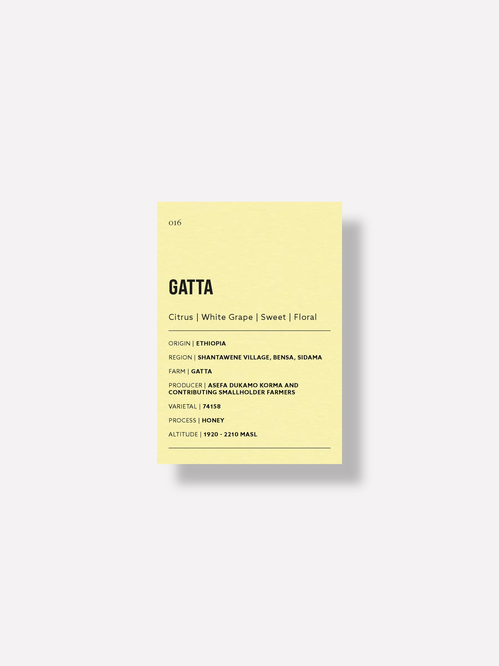 Gatta