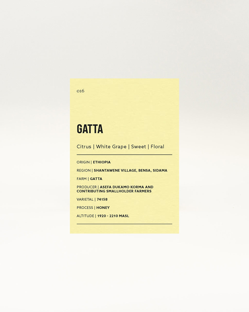 Gatta
