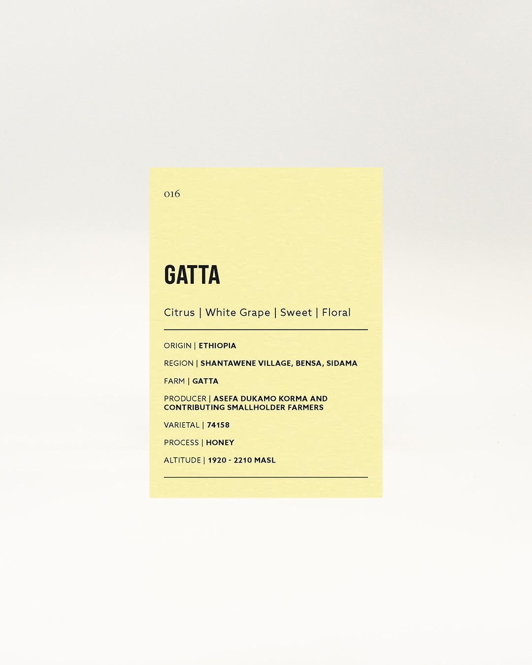 Gatta