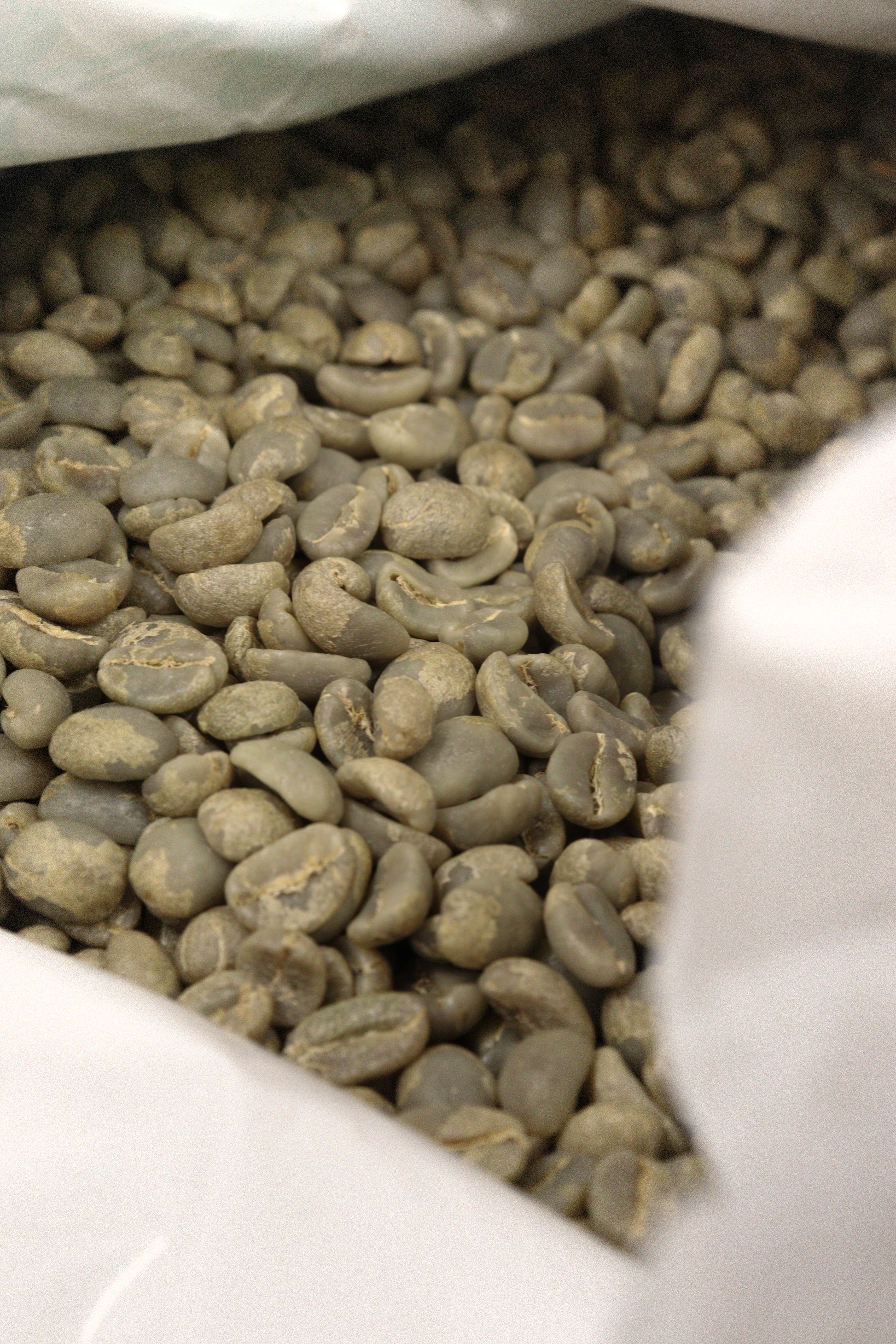 James Hoffmann Fermentation Project Coffee Tasting Set