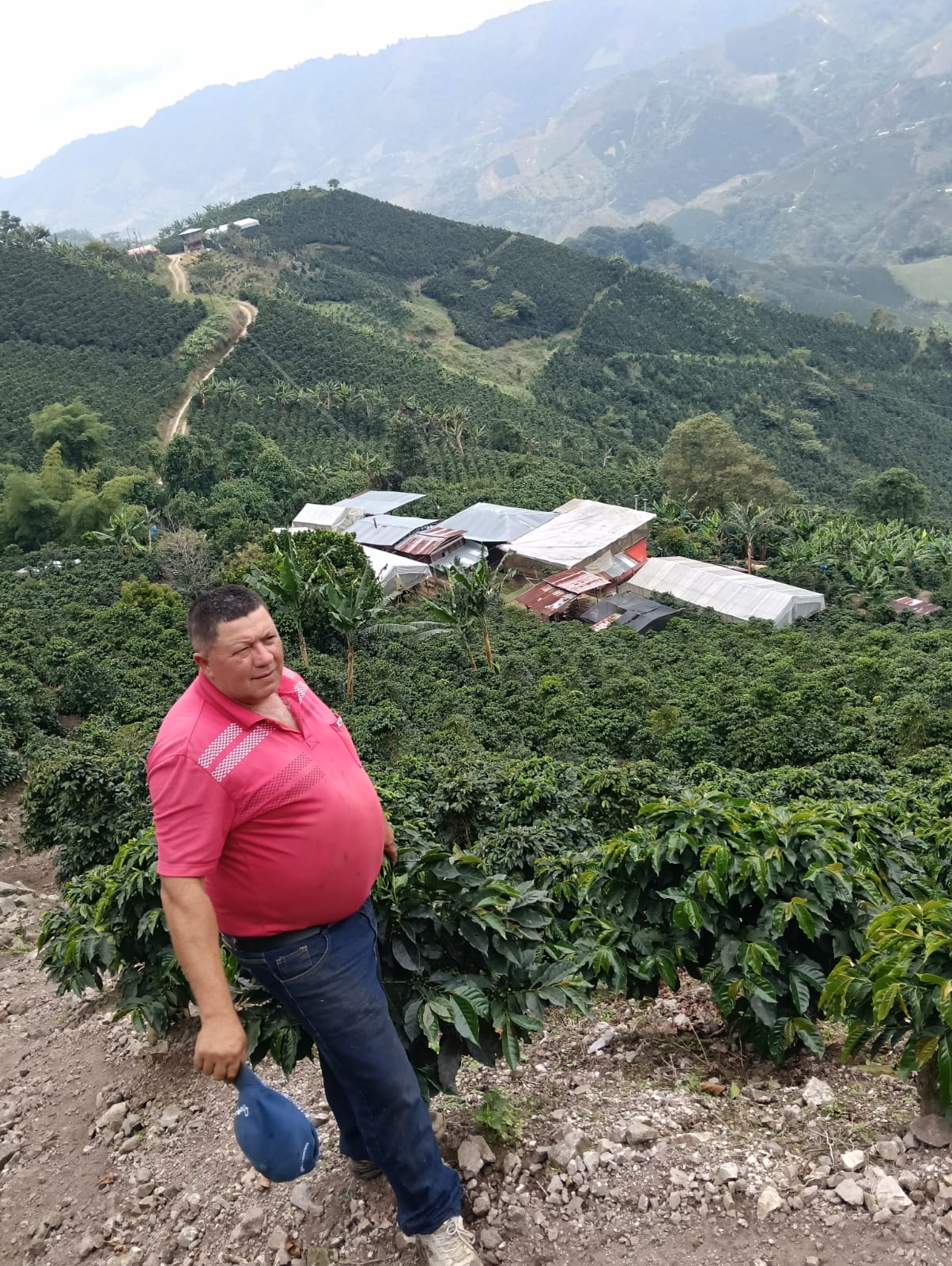Aipecito